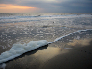 BESSER LEBEN Gratisreise Nordsee