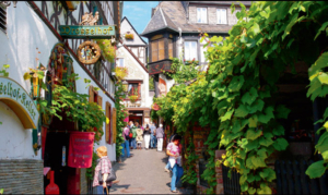 BESSER LEBEN Gratisreise Mosel